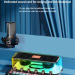 C18 Home Soundkarte Karaoke Audio Integriertes Mikrofon Komplettes Set – Bild 7