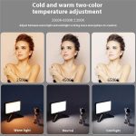 T140 Tragbares Clip-Fülllicht für Telefonkameras, Tablets, Videos, Live-Selfie-Fülllicht – Bild 7