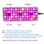 25W 75LEDs Vollspektrum-Pflanzenbeleuchtung Fitolampy für Pflanzen Blumen Sämling Anbau Wachsende Lampen LED-Wachstumslicht AC85-265V, US, EU – Bild 2
