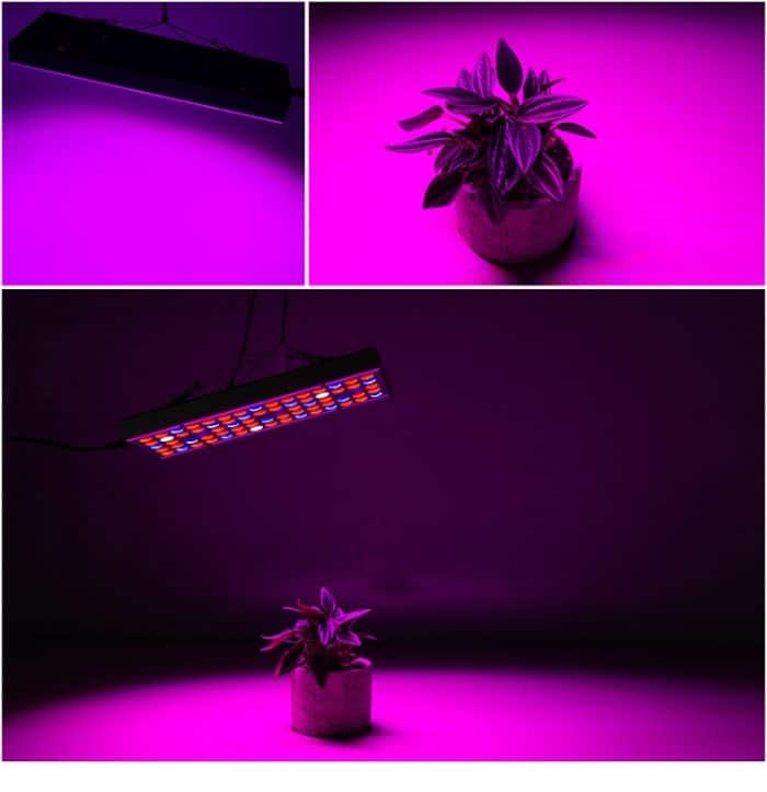 25W 75LEDs Vollspektrum-Pflanzenbeleuchtung Fitolampy für Pflanzen Blumen Sämling Anbau Wachsende Lampen LED-Wachstumslicht AC85-265V, US, EU – Bild 3