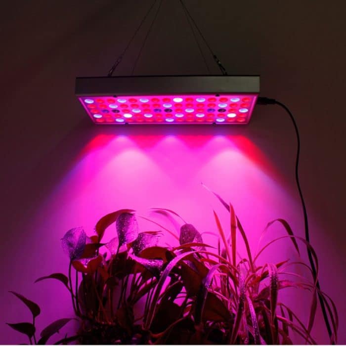 25W 75LEDs Vollspektrum-Pflanzenbeleuchtung Fitolampy für Pflanzen Blumen Sämling Anbau Wachsende Lampen LED-Wachstumslicht AC85-265V, US, EU – Bild 4