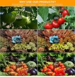 25W 75LEDs Vollspektrum-Pflanzenbeleuchtung Fitolampy für Pflanzen Blumen Sämling Anbau Wachsende Lampen LED-Wachstumslicht AC85-265V, US, EU – Bild 8