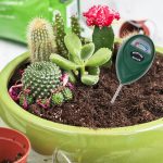 RZ100 Mini Boden pH-Feuchtigkeit Luftfeuchtigkeitsmessung pH-Meter Bodenfeuchtigkeitsmonitor Hygrometer Gartenarbeit Pflanze Landwirtschaft Feuchtigkeitstester – Bild 5