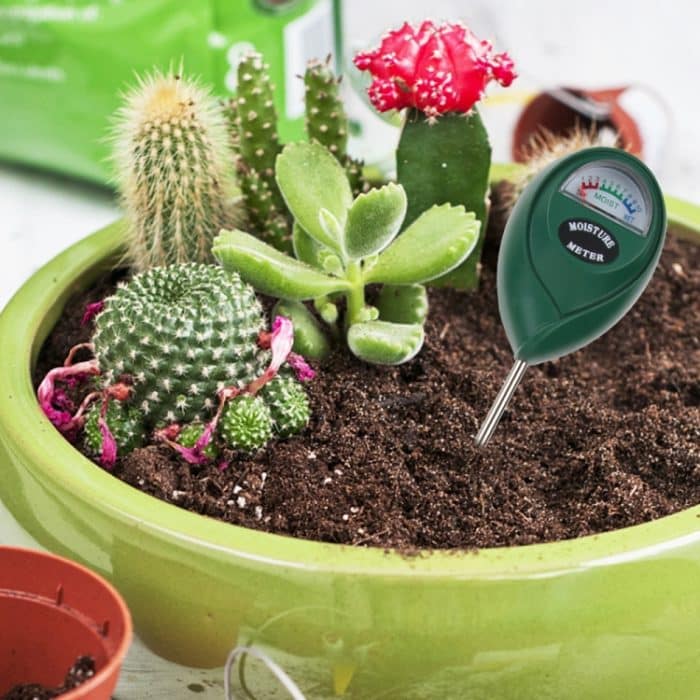 RZ100 Mini Boden pH-Feuchtigkeit Luftfeuchtigkeitsmessung pH-Meter Bodenfeuchtigkeitsmonitor Hygrometer Gartenarbeit Pflanze Landwirtschaft Feuchtigkeitstester – Bild 5