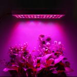 45W 144LEDs Vollspektrum-Pflanzenbeleuchtung Fitolampy für Pflanzen Blumen Sämling Anbau Wachsende Lampen LED-Wachstumslicht AC85-265V, US, EU, AU, UK – Bild 10