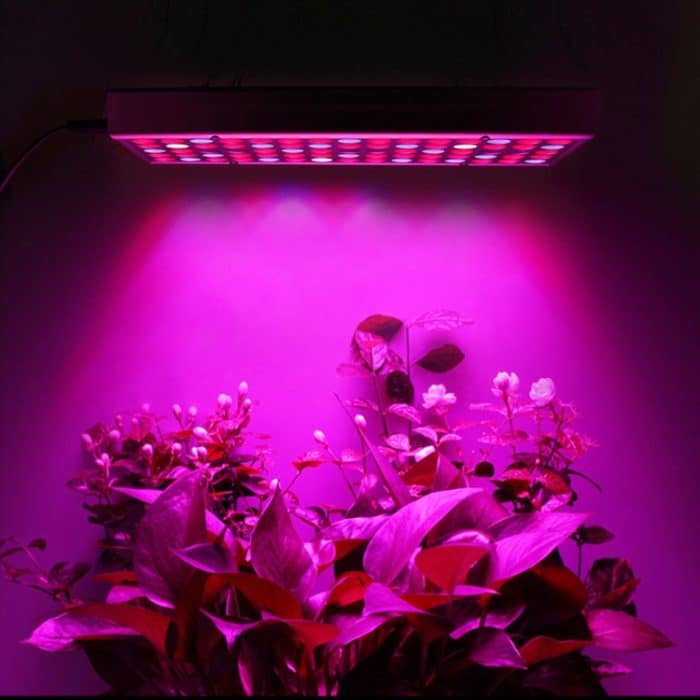 45W 144LEDs Vollspektrum-Pflanzenbeleuchtung Fitolampy für Pflanzen Blumen Sämling Anbau Wachsende Lampen LED-Wachstumslicht AC85-265V, US, EU, AU, UK – Bild 10