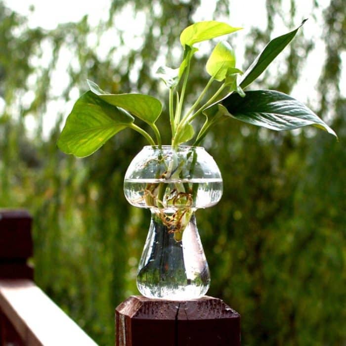 Pilzförmige Glasvase Terrarium Flaschenbehälter Blume Home Tischdekoration – Bild 2