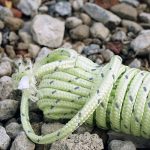 Reflektierende Schnur mit 5 mm Durchmesser Winddichte Zeltseilschnur Campingseil Reflektierende Zeltseile – Bild 3