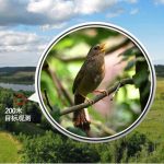 Eyeskey High-Definition-HD-Teleskop-Nachtsicht-Taschenfernglas mit Stickstofffüllung ohne Infrarot, 8X42, 10X42 – Bild 10