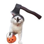 2 PCS Kreative Katze Hund Halloween Lustige Ordentliche Requisiten Stirnband Mit Kapuze Hut, S, M