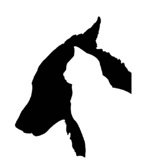 10 Stück Hunde- und Katzen-Autoaufkleber, reflektierende, wasserdichte Aufkleber für Haustiere, Dog and Cat – Bild 1