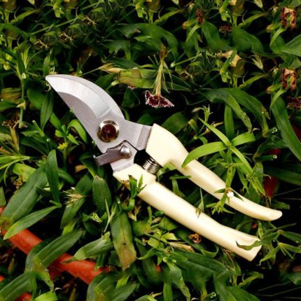 2 Stück Gartengeräte Edelstahl Gartenschere Obstbaumschere Gartenzweigschere