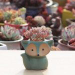 Keramik Fleshy Blumentopf Saftige Thumb Pot Fox Blumentopf, zufällige Farbe Lieferung – Bild 5