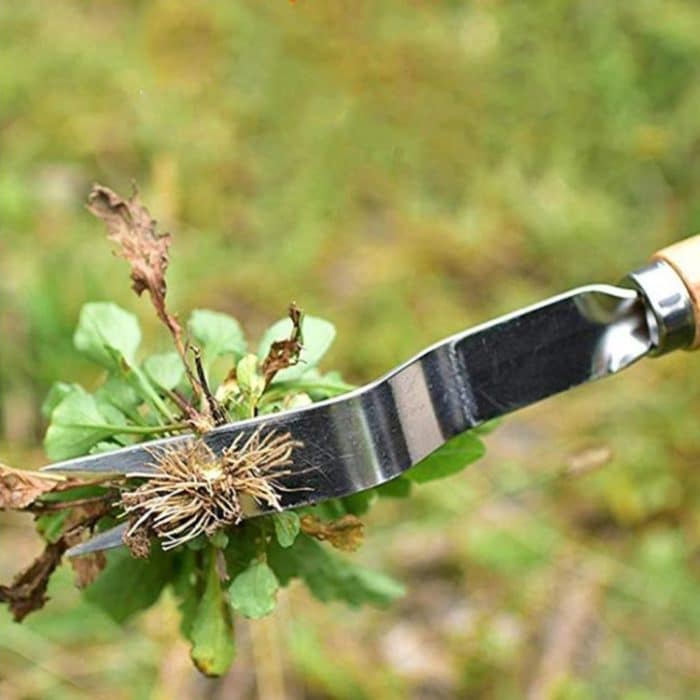 Haushaltsjäten Graben Jäten Unkraut Bodenentfernung Sämling Aufzucht Sämling Schaufel – Bild 6