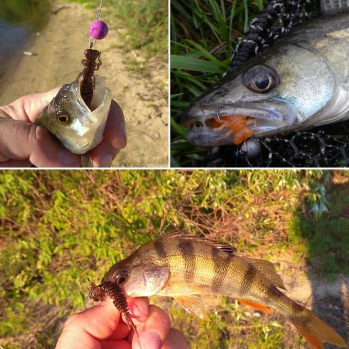 15 Stück 8-farbige Larven-Silikon-Softbait-Köder, 75MM – Bild 8