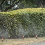 Gartenarbeit, einstellbare Ausrüstung, Mikrospray, Tropfbewässerung, Zerstäubungssprinkler, automatisches Bewässerungsgerät, Automatic Watering Device – Bild 10