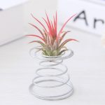 2 Stück Luft-Aluminiumdraht-Ananas-Wurzelhalter mit Federbasis, Pineapple Rooting Holder – Bild 5