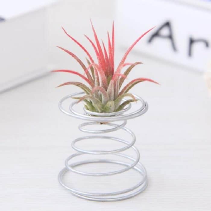 2 Stück Luft-Aluminiumdraht-Ananas-Wurzelhalter mit Federbasis, Pineapple Rooting Holder – Bild 5