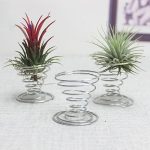 2 Stück Luft-Aluminiumdraht-Ananas-Wurzelhalter mit Federbasis, Pineapple Rooting Holder – Bild 6