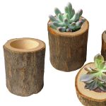 3 Stück Mini-Naturscheit, rund, für Zuhause, Büro, Garten, Dekoration, Sukkulententopf, Kerzenhalter, kleine Bonsai-Heimdekoration, S, M, L – Bild 3