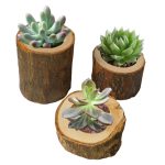 3 Stück Mini-Naturscheit, rund, für Zuhause, Büro, Garten, Dekoration, Sukkulententopf, Kerzenhalter, kleine Bonsai-Heimdekoration, S, M, L – Bild 4