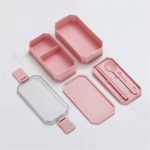 Doppelschichtige Lunchbox aus mikrowellengeeignetem Kunststoff für Studenten – Bild 4