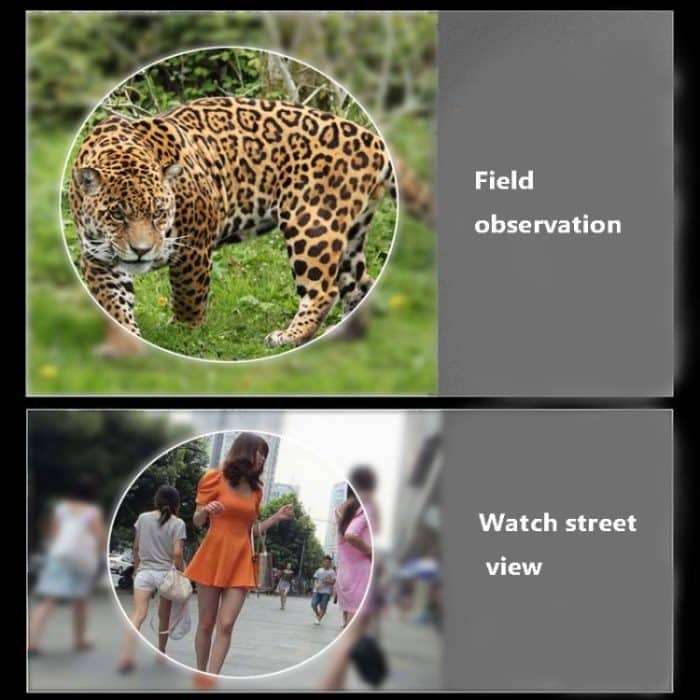 NIKULA 10x22 Visuelles Fernglas bei schlechten Lichtverhältnissen – Bild 5