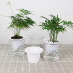 10 Stück automatische Wasseraufnahme, Hydrokulturtopf, Sukkulenten-Blumentopf, Transparent Without Words, Transparent With Words – Bild 7