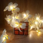 1,5 m 10 LEDs Batteriebetriebene Warmweiß Kreative DIY Frangipani LED Lichterketten Blumen Urlaub Beleuchtung Event Party Girlande Schlafzimmer Dekoration