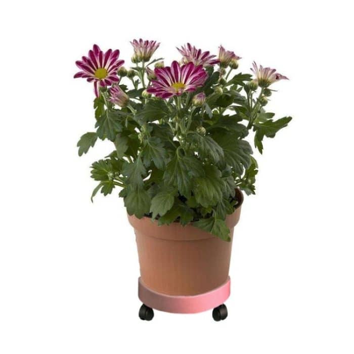 Universal-Topftablett mit runden Rädern, leicht zu bewegendes Blumentopftablett, Gartenplatte, Kunststoffständer – Bild 4