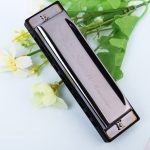 Swan 10 Holes Bruce Harmonica Anfänger Kinder Erwachsene Schüler, die Musikinstrumente spielen