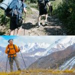 NECASIL Dreiteiliger Trekking-Trekkingstock mit geradem Griff aus Aluminiumlegierung, Three-section (Black), Three-section (Red), Three-section (Blue), Three-section (Silver), Three-section (Purple), Three-section (Gold) – Bild 6