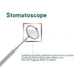 Zahnmedizinische Werkzeuge aus Edelstahl, Zahnpflege, Zahnstein-Werkzeug, Zahnarzt-Werkzeug-Set, 3 in 1 Silver Box, 5 in 1 Silver Box, 6 in 1 Silver Box, 6 in 1 Pink Box, 6 in 1 Black Box, 5 in 1 Steel Side Leather Case – Bild 3