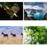 Kinder Einröhrchen Kleines astronomisches Teleskop Hochleistungs-High-Definition-Spielzeug für den naturwissenschaftlichen Unterricht – Bild 4