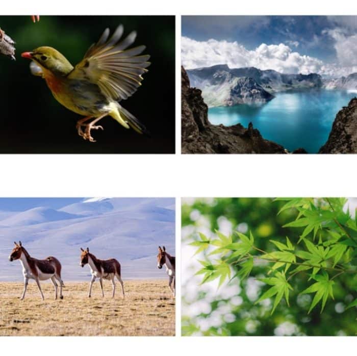 Kinder Einröhrchen Kleines astronomisches Teleskop Hochleistungs-High-Definition-Spielzeug für den naturwissenschaftlichen Unterricht – Bild 4