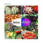 Ultradünnes LED-Pflanzenlicht, Vollspektrum-COB-Wachstumslicht, Gemüse-, Obst- und Blumengewächshaus-Fülllicht ohne Stecker, 50W, 100W, 150W – Bild 8