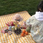 FP1409 6 mm verdickte, feuchtigkeitsbeständige Strandmatte, Outdoor-Camping-Zeltmatte mit Aufbewahrungstasche, 200x200cm – Bild 4