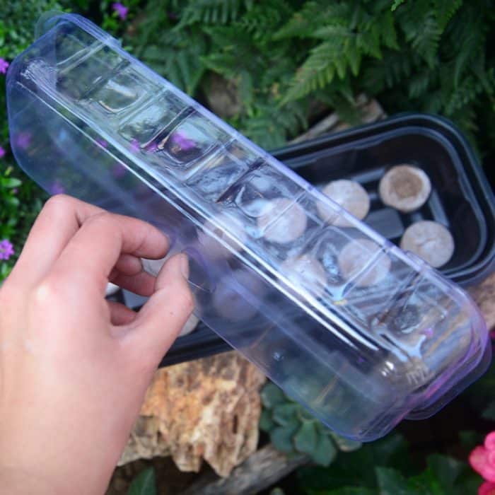 4 teile 2 in 1 Zucht Sämling Tray Gardening Seeding Box – Bild 3