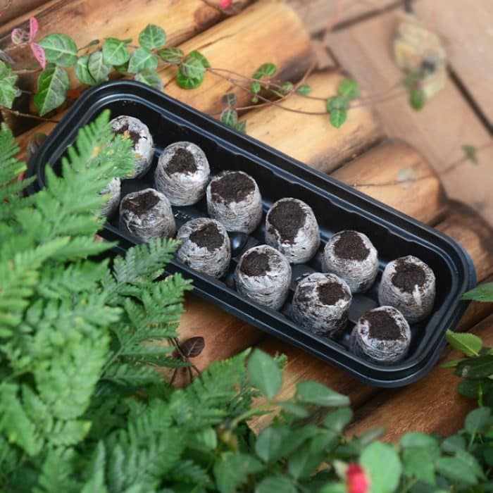 4 teile 2 in 1 Zucht Sämling Tray Gardening Seeding Box – Bild 5