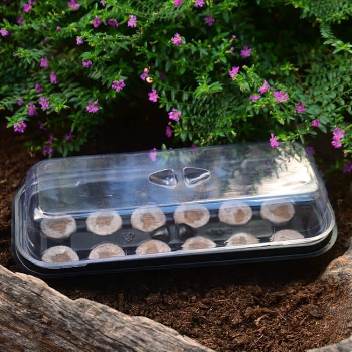 4 teile 2 in 1 Zucht Sämling Tray Gardening Seeding Box – Bild 6