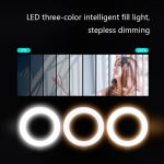 FP-10 Desktop-Multifunktions-Fotografie-Unterstützung, Telefon-Live-Ständer, LED-Fülllicht, Spezifikation:, Desktop Bracket + Phone Clip, Desktop Bracket + Clip + Ring Lamp – Bild 5