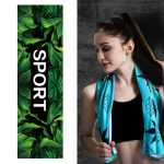 2 Stück Fitness-Kalthandtuch, Outdoor-Sport, kühlendes, schnell trocknendes Handtuch, Größe: 100 x 30 cm, Quick-Drying Towel, Size: 100 x 30cm(Greenery), Quick-Drying Towel, Size: 100 x 30cm(Maple), Quick-Drying Towel, Size: 100 x 30cm(Sky)...