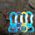 Rotierende Ringlicht Aluminiumlegierung Bergsteigen Wanderung Fitness Pet Traktion Sicherheitshaken, Farbe und Stil Zufällige Lieferung – Bild 4