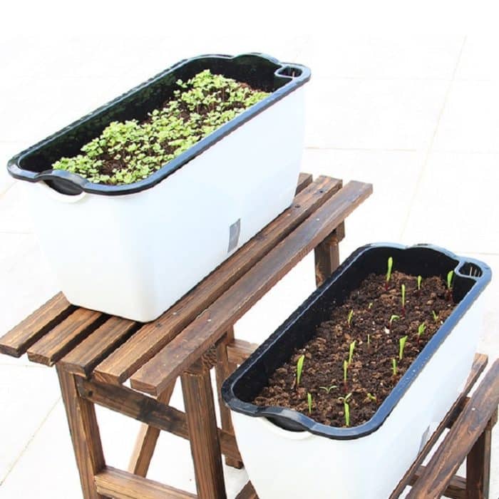 Familienbalkon, rechteckiger, selbstabsorbierender Gemüsetopf aus Kunststoff, Blumentopf, Stil:, SC01 Extra Large Pot, SC02 Big Pot – Bild 6