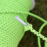 4 mm Durchmesser, 50 m, leuchtendes Zeltseil, Outdoor-Rettungszurrseil – Bild 3