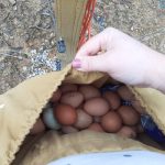 Outdoor-Nahrungstasche, Gemüsegarten-Obstgarten-Pflücktasche, Werkzeugtasche zum Aufhängen an der Taille, WQB-2 (Black), WQB-2 (Khaki), WQB-2 (Army Green) – Bild 5