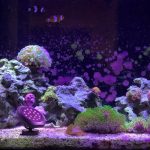 TS-S5403 Solarscheiben-Unterwasserlicht RGB-Schwimmbadstrahler, Spezifikation:, 2 in 1, 3 in 1, 5 in 1 – Bild 7