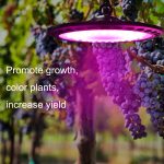 XYG-UFO Hochleistungs-Pflanzenwachstumslicht mit 144 LEDs, EU-Stecker, 100W, 150W, 200W – Bild 7