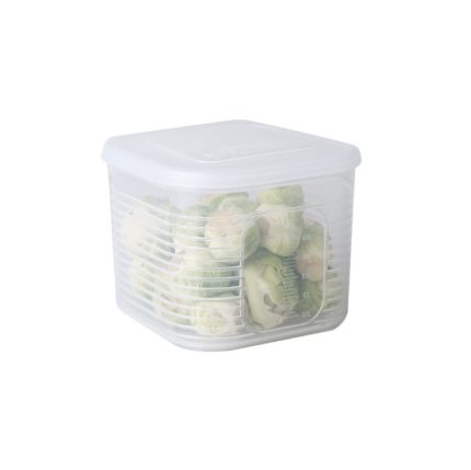 A2958 Kühlschrank-Konservierungsbox für gehackte Zwiebeln und Knoblauch mit Deckel, Small, 6-pieces / Sets, Dividered Box