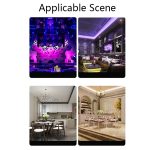 Obsttablett und Regal in Blattform aus Acryl, Stil:, Dish (Transparent), Dish (Blue), Dish (Amber), Dish (Purple), Shelf (Golden), Shelf (Black) – Bild 7